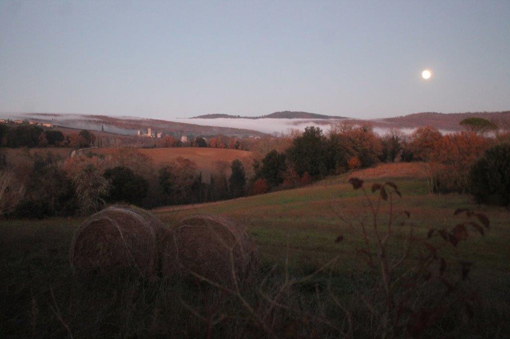la luna, nebbia, badia a monastero